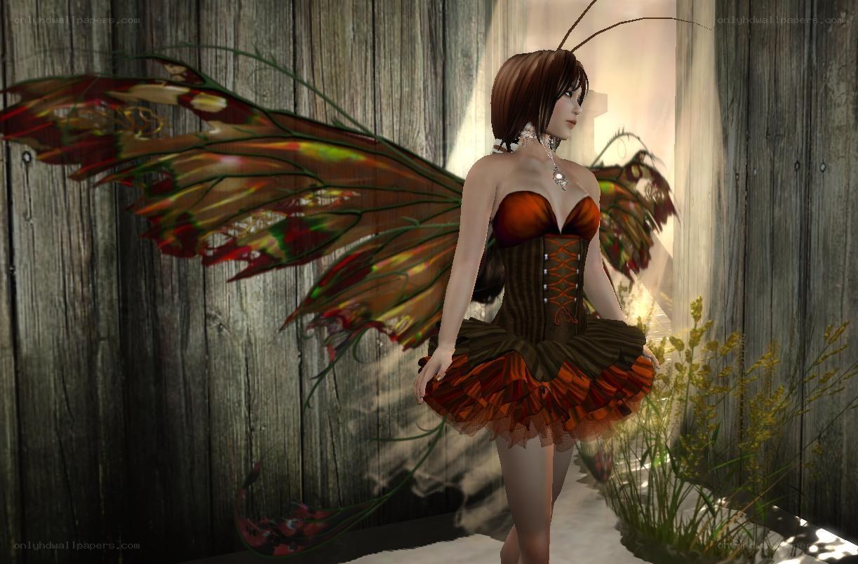 fairy with butterfly wings