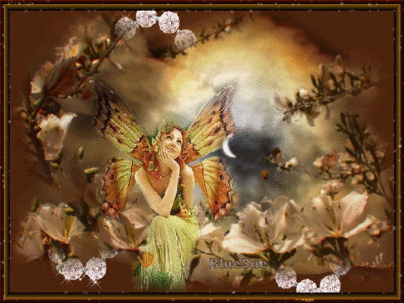 fairy with butterfly wings