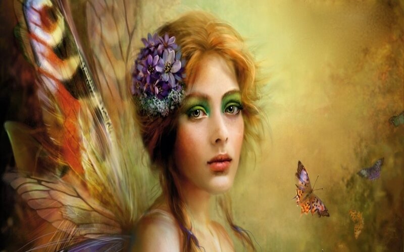 fairy with butterfly wings