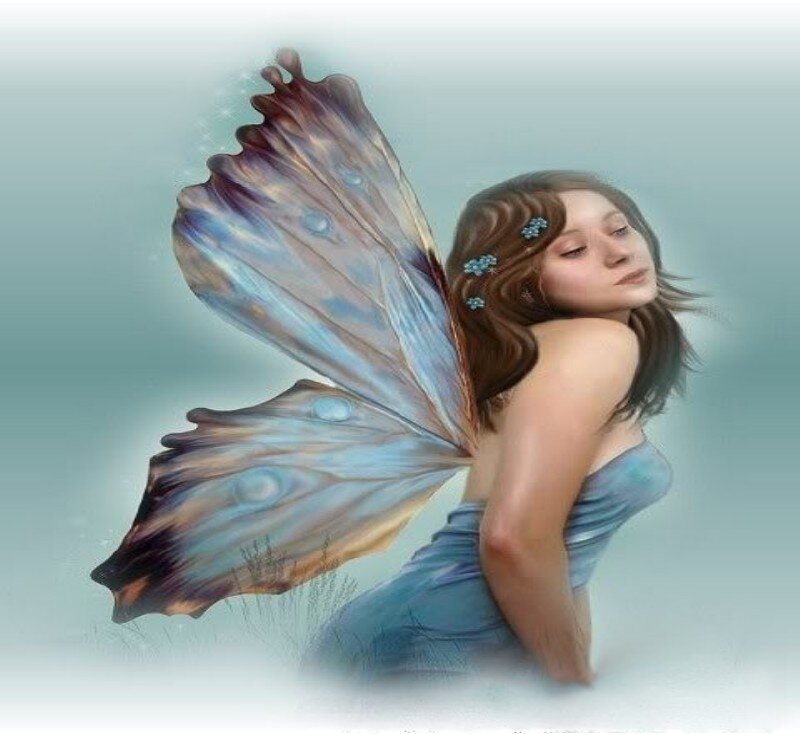 fairy with butterfly wings