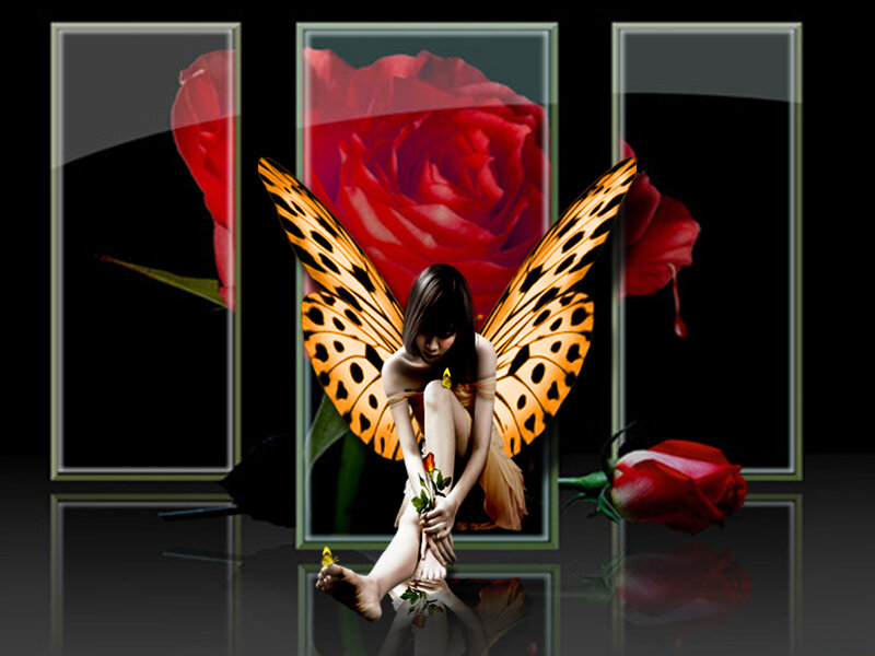 Fairy with Butterfly Wings — Black, Dramatic