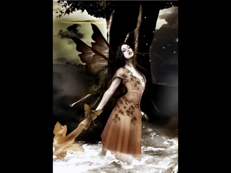 Fairy with Butterfly Wings — Brown