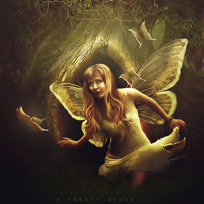 Fairy with Butterfly Wings — Green, Mysterious