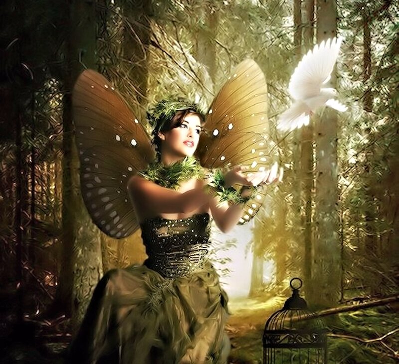 Fairy with Butterfly Wings — Green, Serene, Afternoon, Digital Art, White Dove