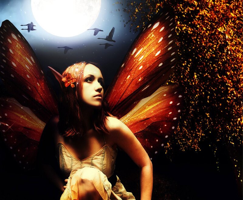 Fairy with Butterfly Wings — Orange, Dramatic