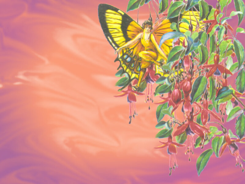 Fairy with Butterfly Wings — Pink, Dreamy