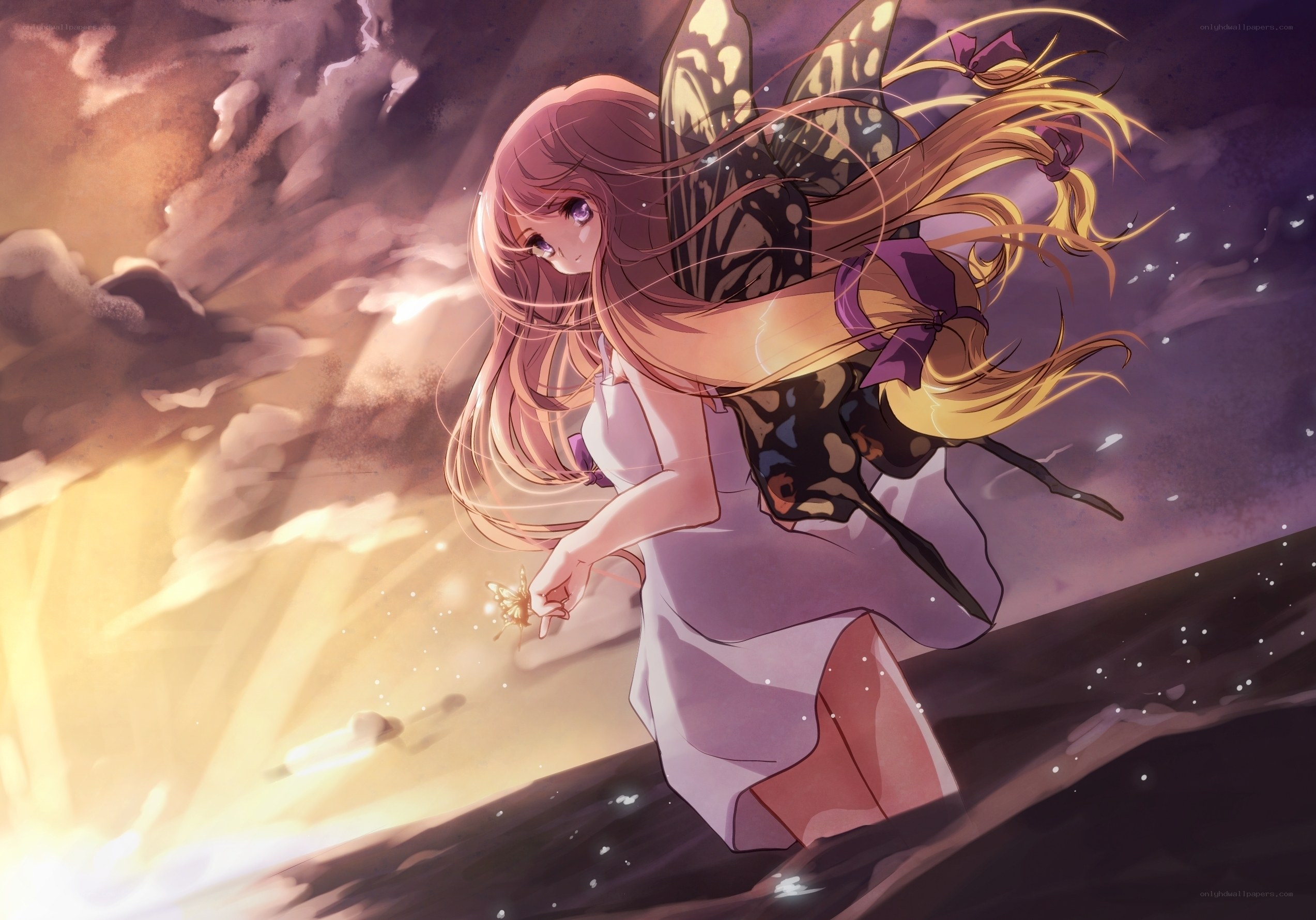 fairy with butterfly wings