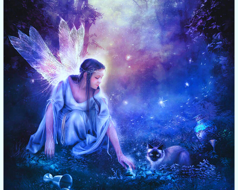 Fairy with Cat in Forest