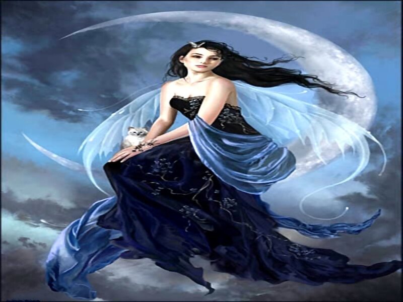 fairy with cat in moonlight