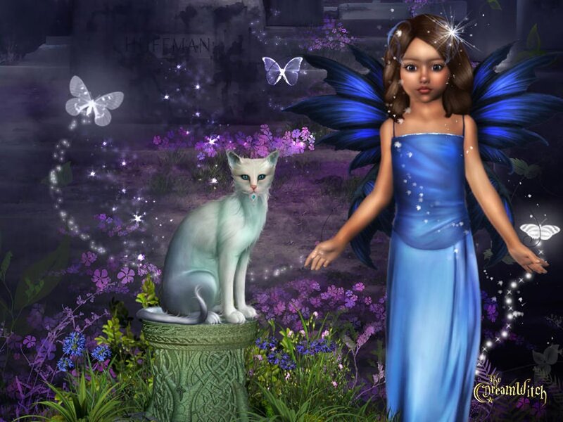 Fairy with Cat
