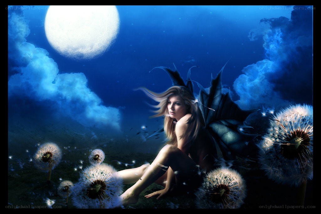 Fairy with dandelions under moonlight