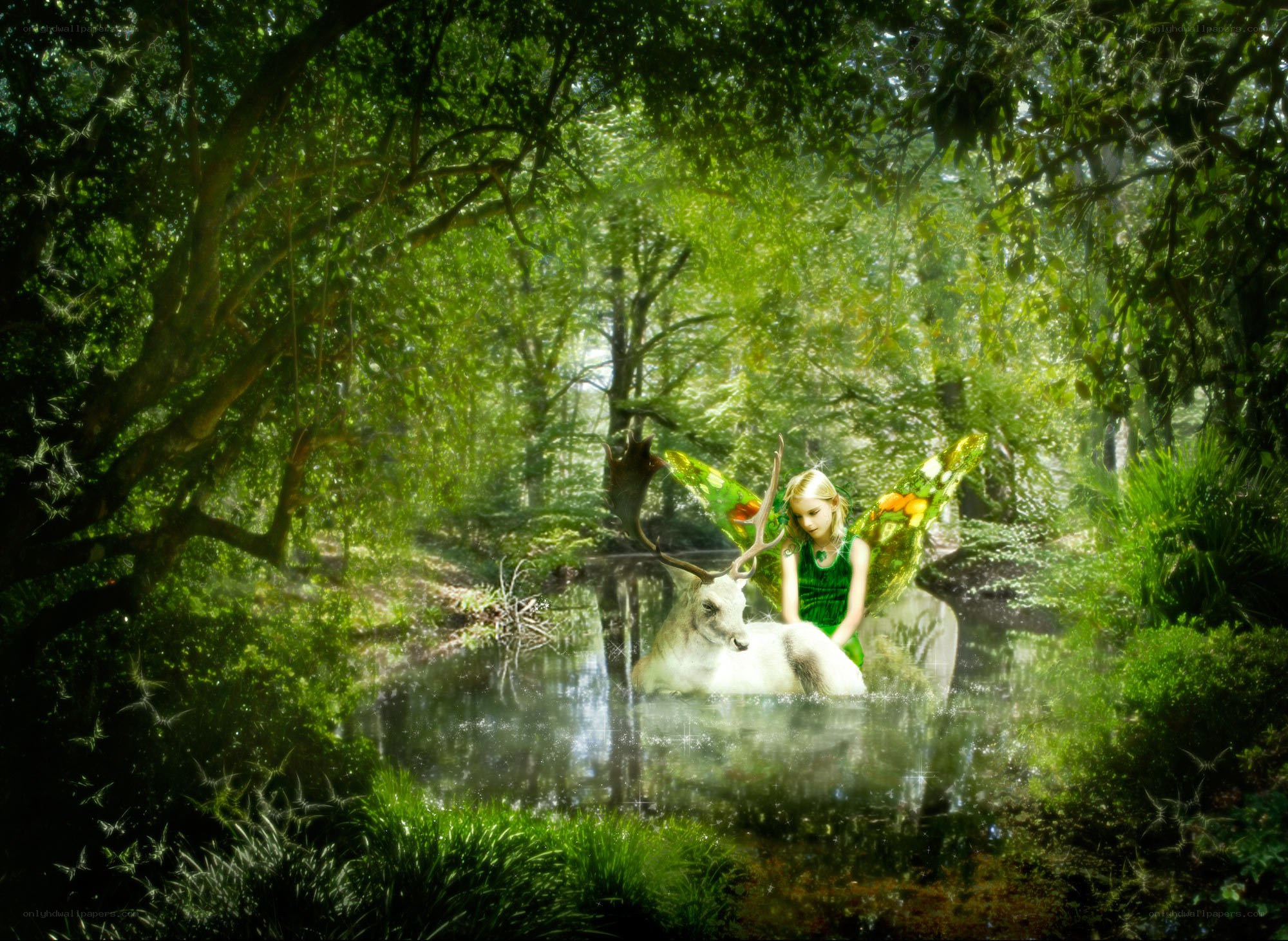 Fairy with deer in forest pond