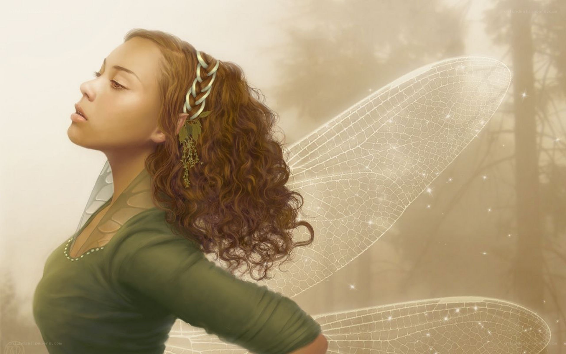 fairy with dragonfly wings