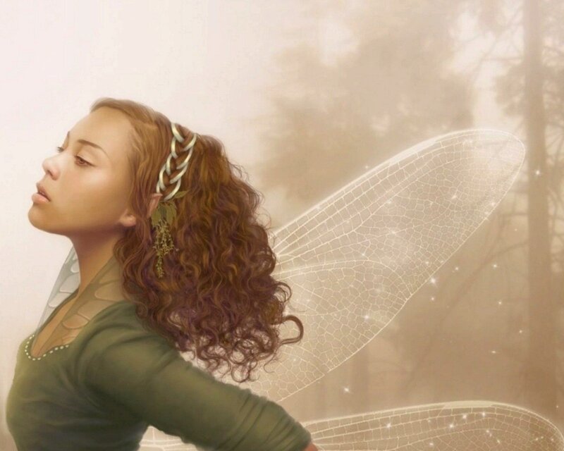 fairy with dragonfly wings