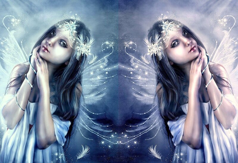 fairy with feather wings