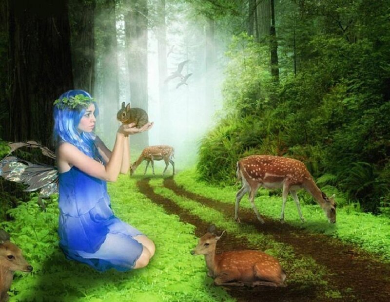 fairy with forest animals