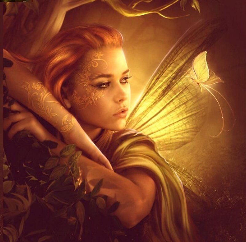 fairy with golden wings