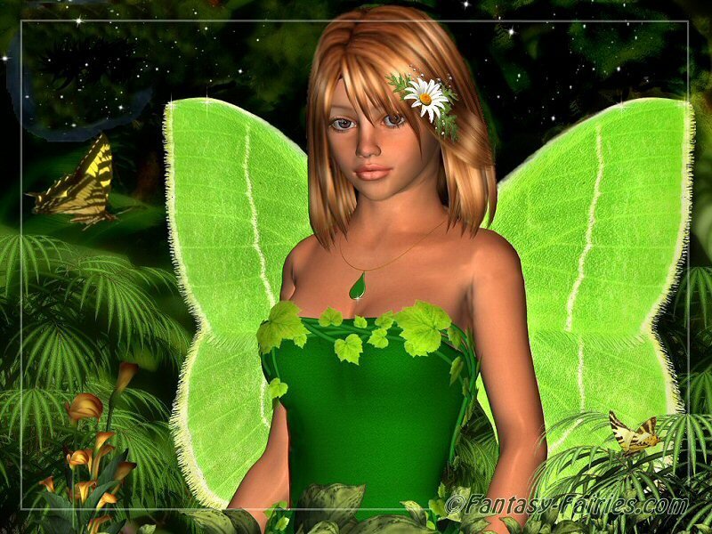 Fairy with Green Wings — Serene