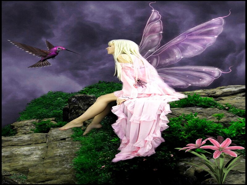 Fairy with Hummingbird — Purple