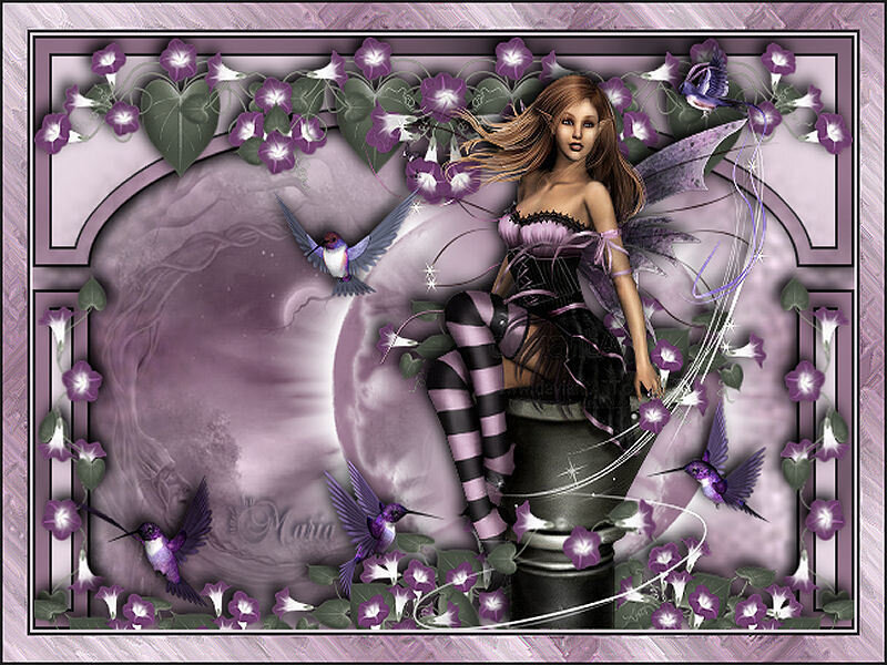 fairy with hummingbirds and moon