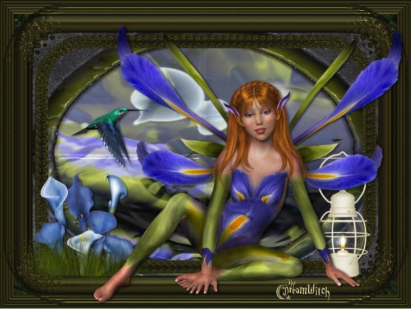Fairy with Iris Wings