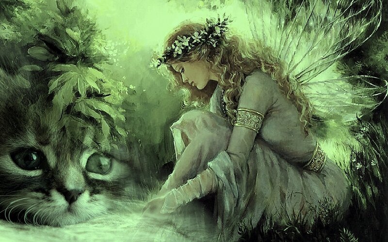 fairy with kitten in forest