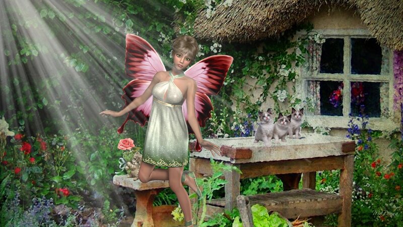 Fairy with Kittens
