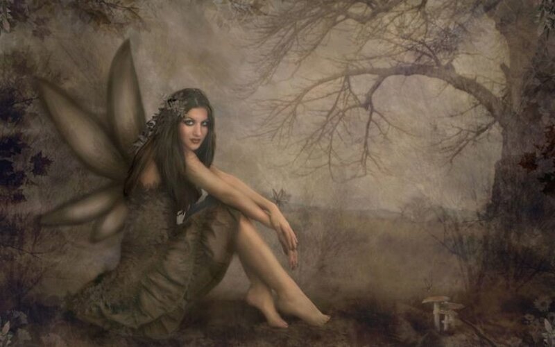 Fairy with Large Wings — Brown, Mysterious