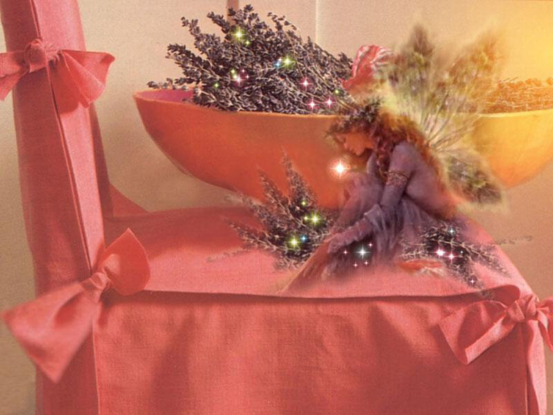 Fairy with Lavender