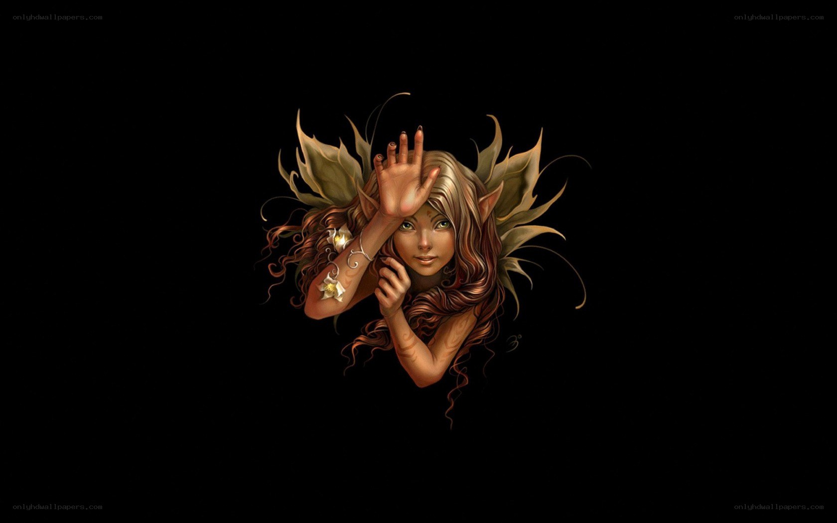 fairy with leaf wings