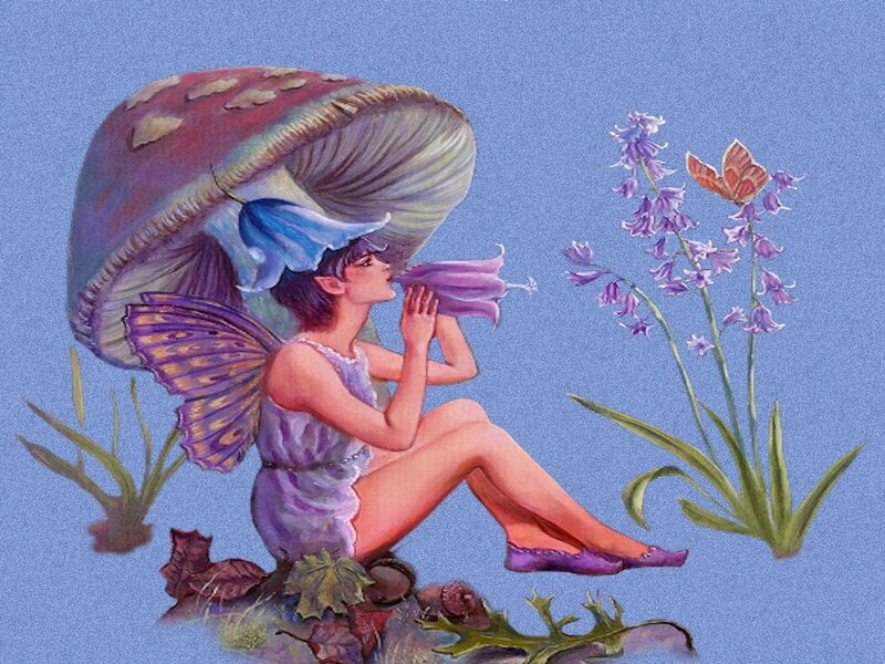 Fairy with Mushroom — Purple