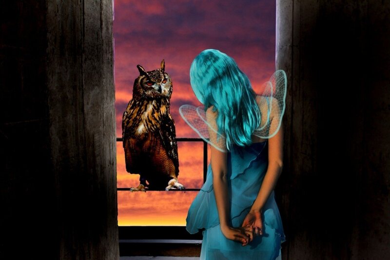 Fairy with Owl