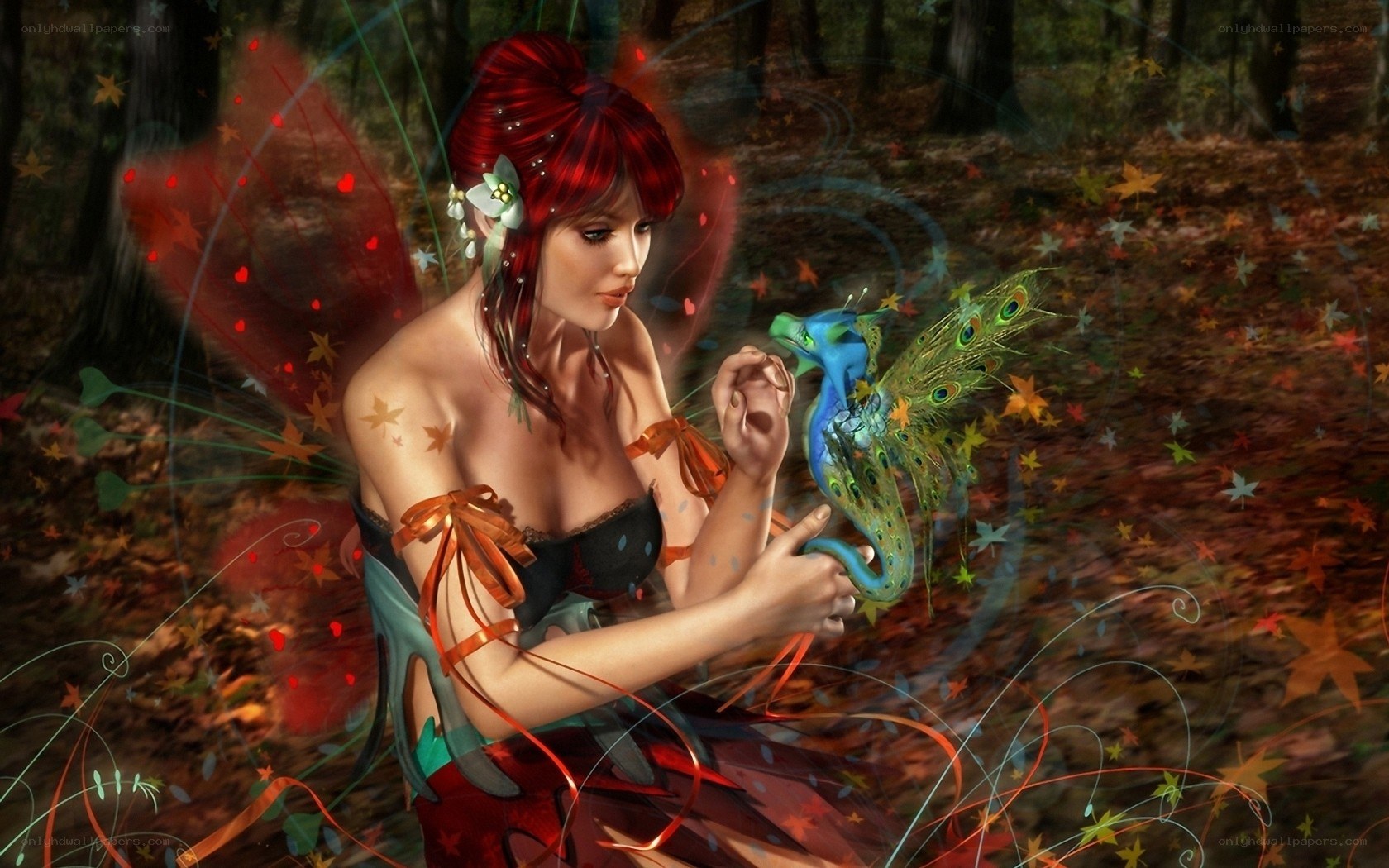 fairy with peacock dragon