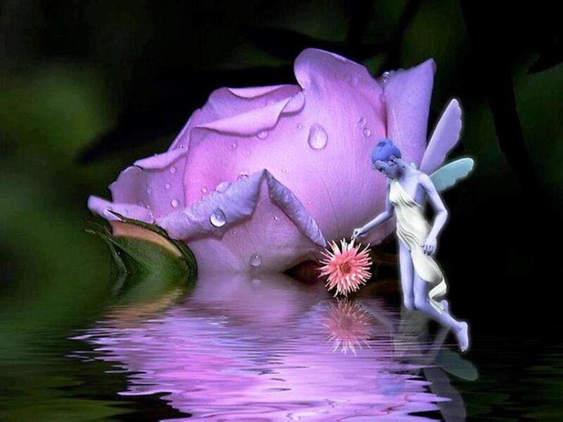 Fairy with Pink Flower — Purple, Serene