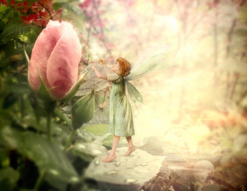 Fairy with Pink Rose