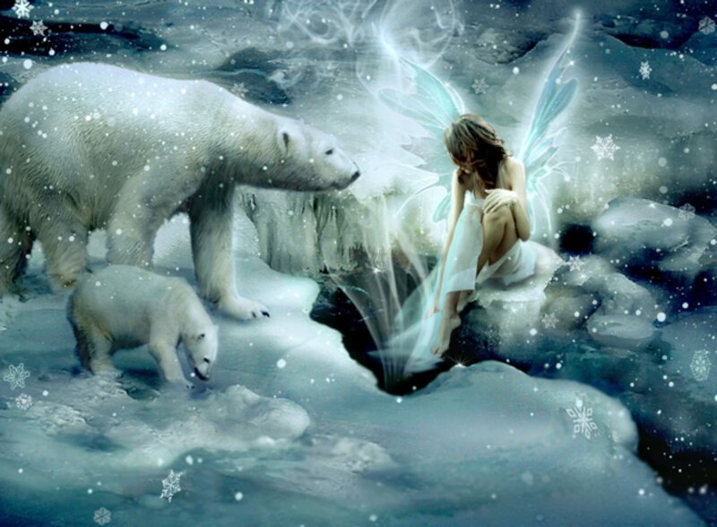 Fairy with Polar Bears