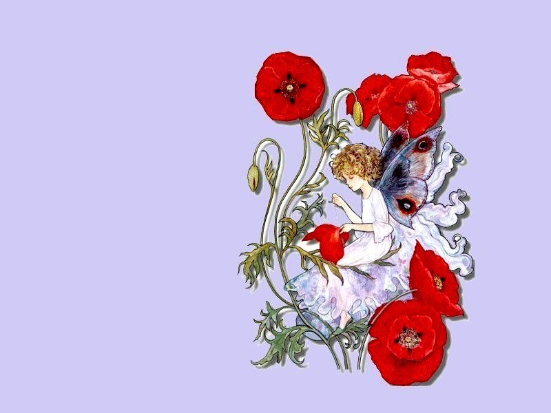 fairy with poppy flowers
