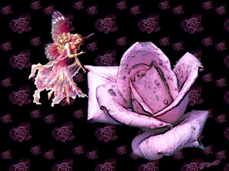 fairy with purple rose