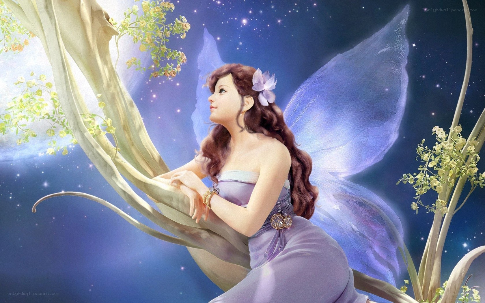 fairy with purple wings