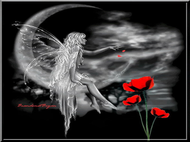 Fairy with red poppies
