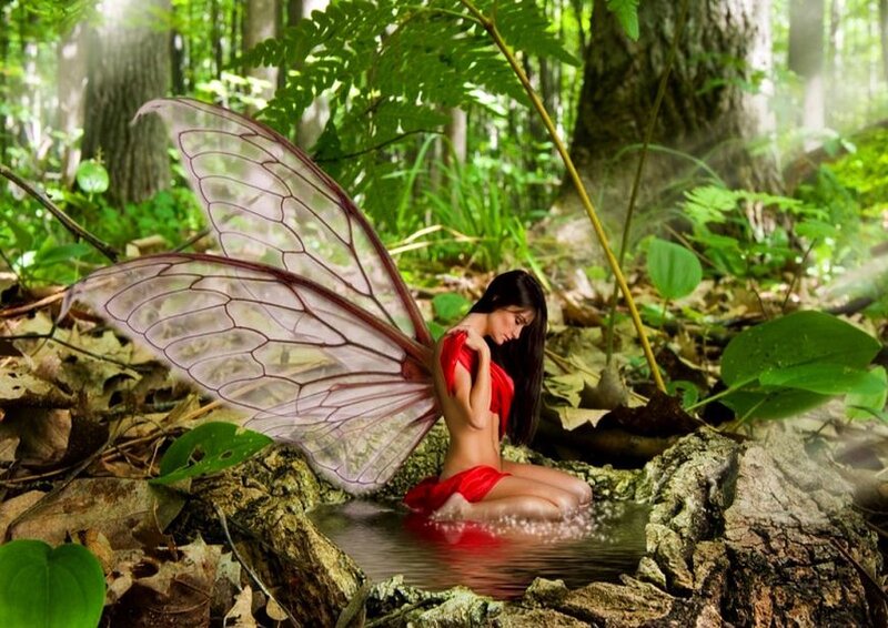 Fairy with Red Wings — Green