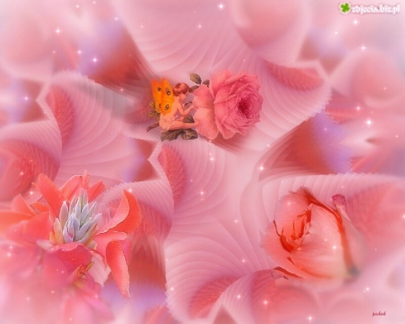 Fairy with Roses — Pink