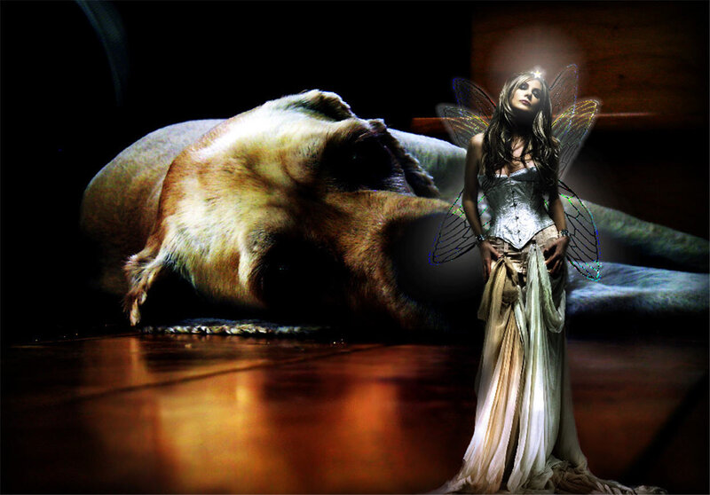fairy with sleeping dog