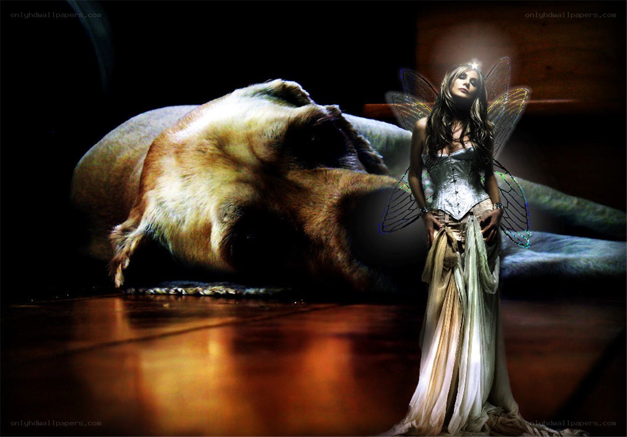fairy with sleeping dog