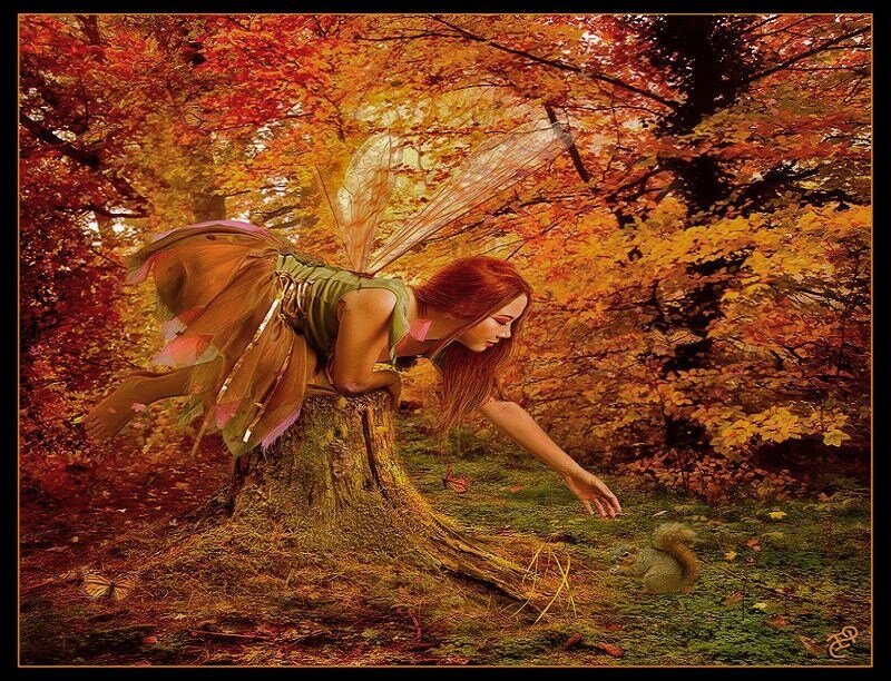 Fairy with Squirrel — Orange