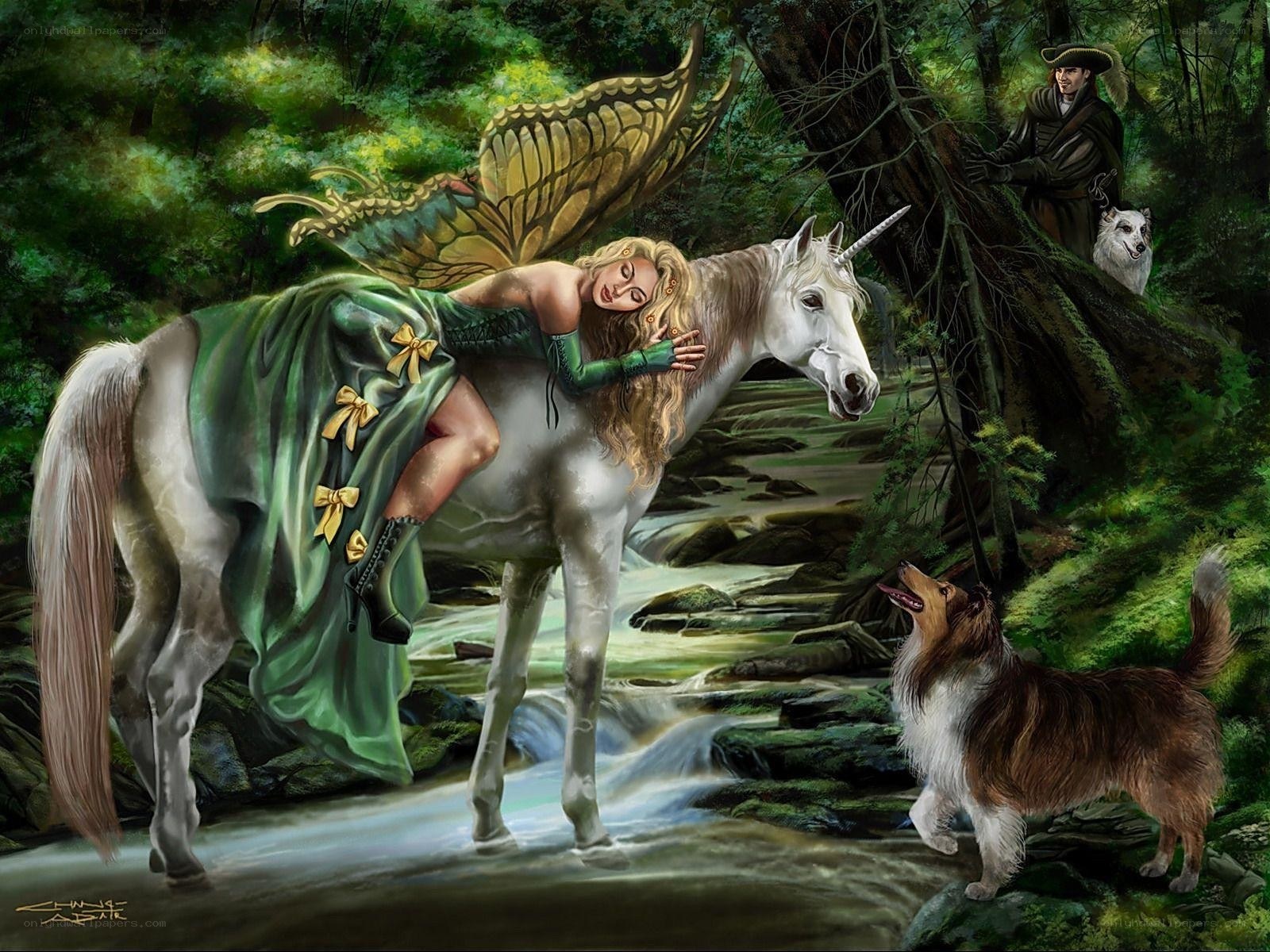 Fairy with unicorn in forest