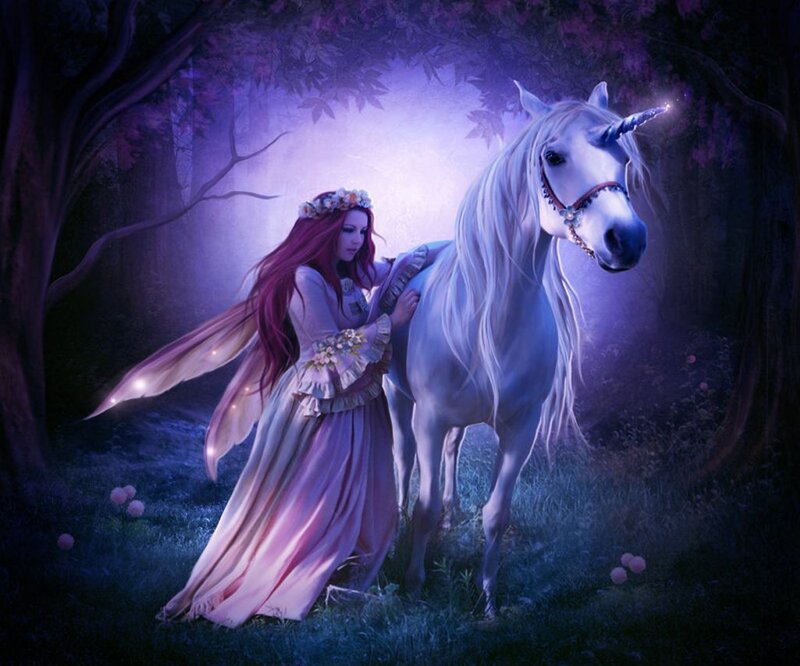 Fairy with Unicorn — Purple, Serene, Night, Digital Art