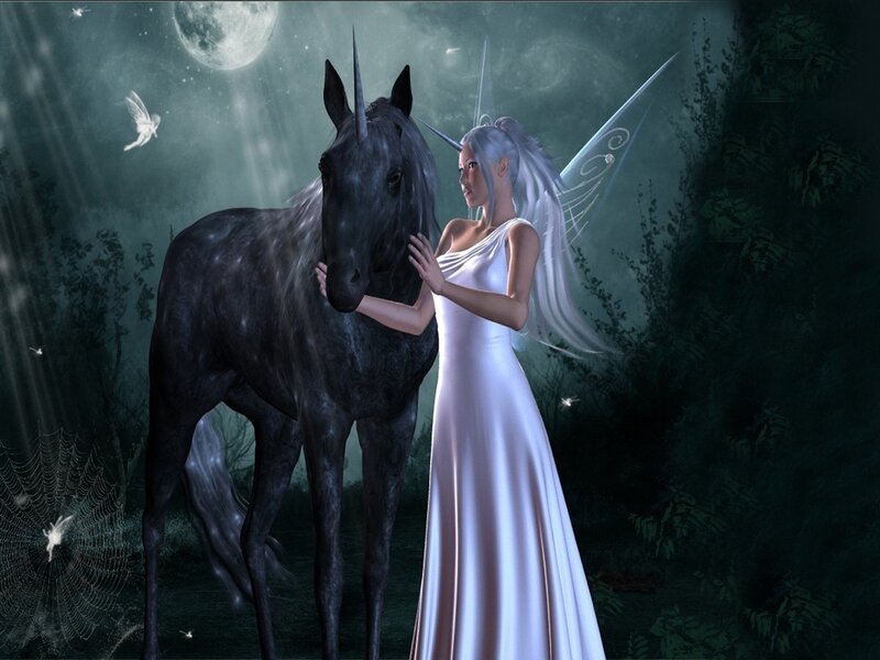 Fairy with Unicorn — White, Serene, Night, Digital Art