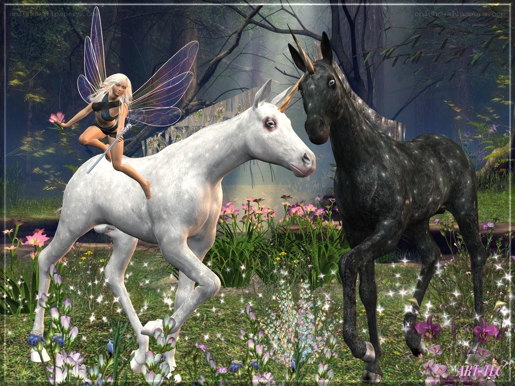 Fairy with unicorns in forest