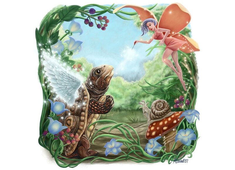 fairy with winged turtle